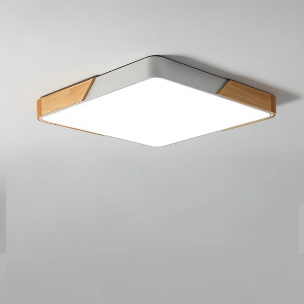 Ferra Ceiling Light