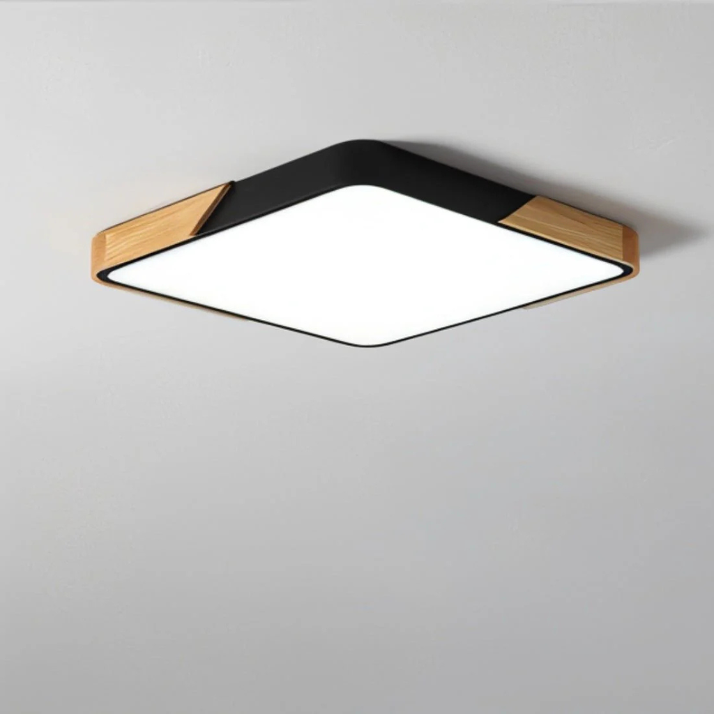 Ferra Ceiling Light