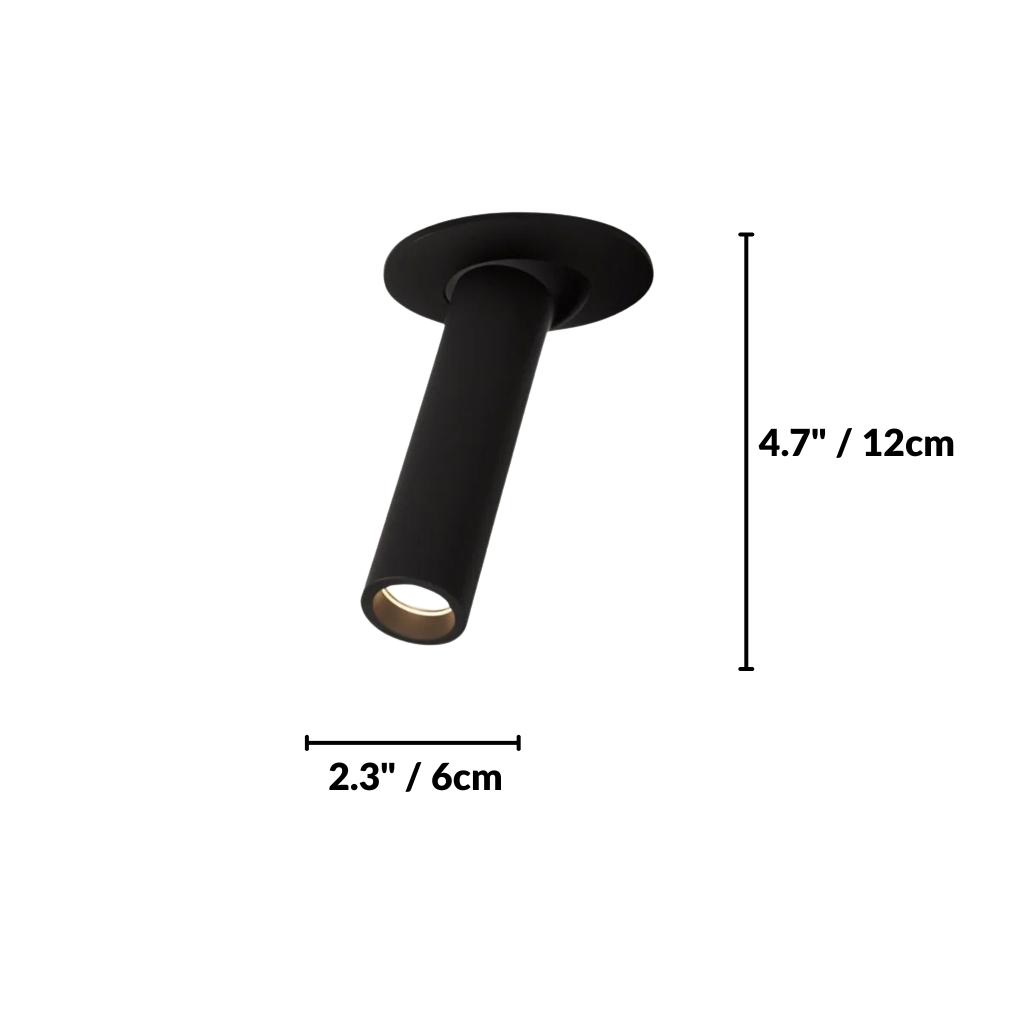 Zylo Ceiling Light
