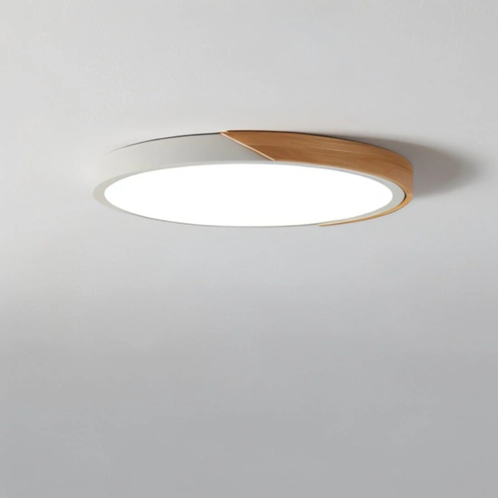 Ferra Ceiling Light