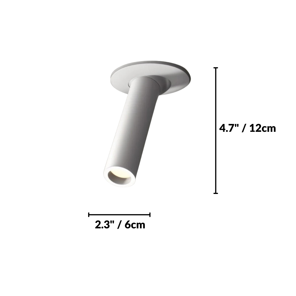 Zylo Ceiling Light