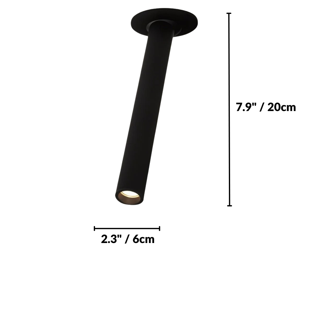 Zylo Ceiling Light