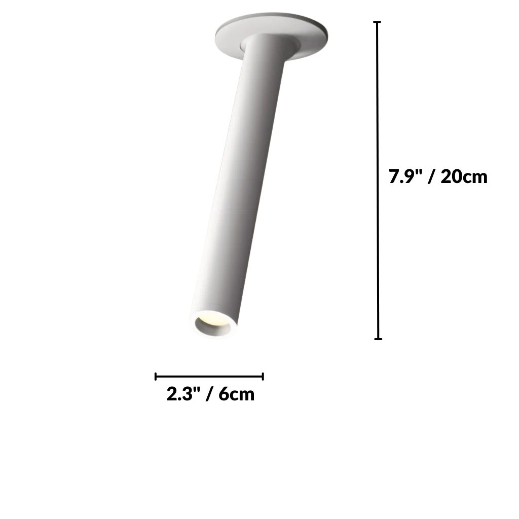 Zylo Ceiling Light