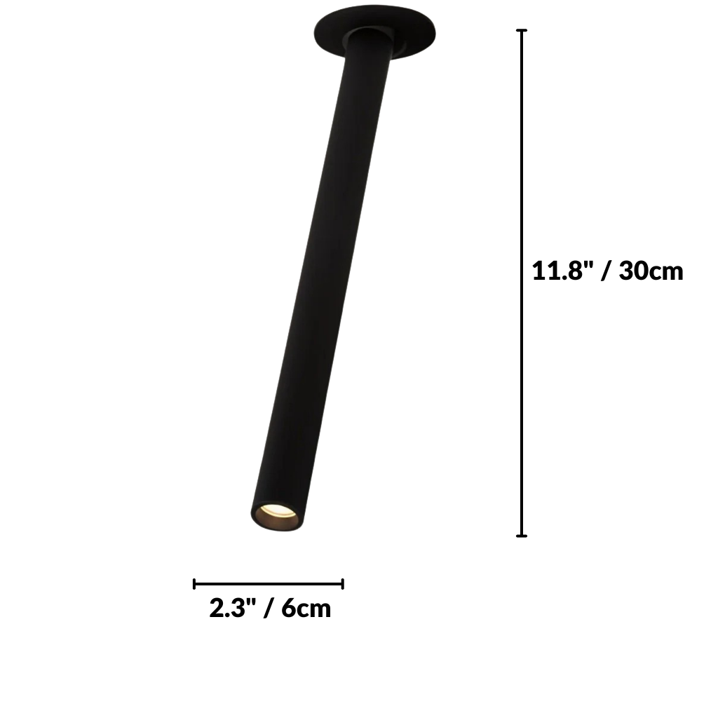 Zylo Ceiling Light