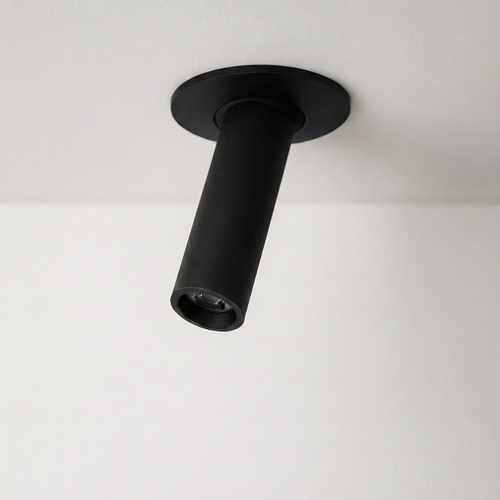 Zylo Ceiling Light
